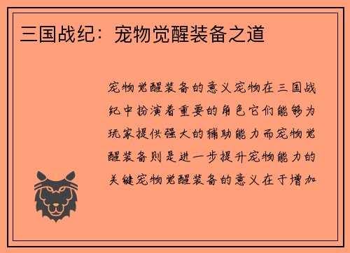 三国战纪：宠物觉醒装备之道